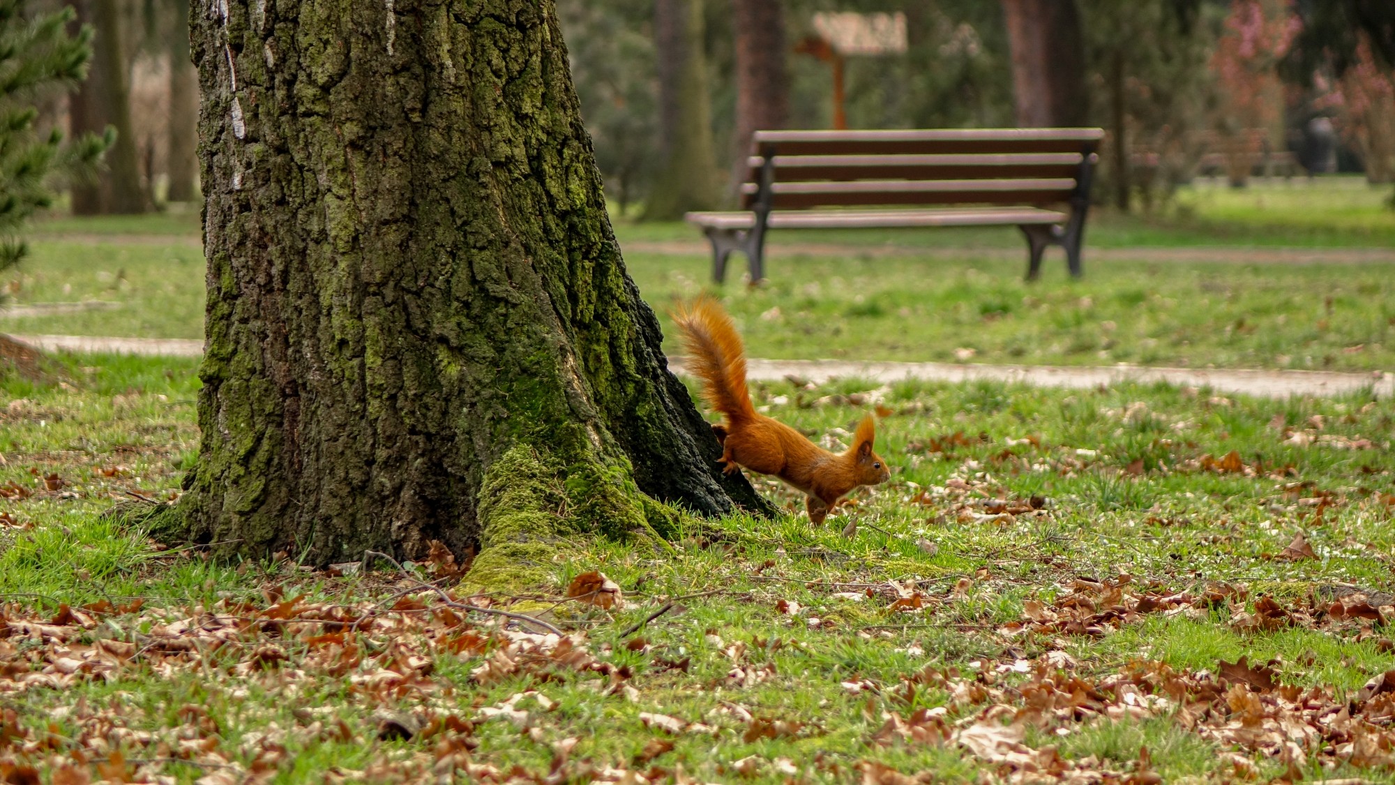 Wiosenna pobudka - zdjęcie 11