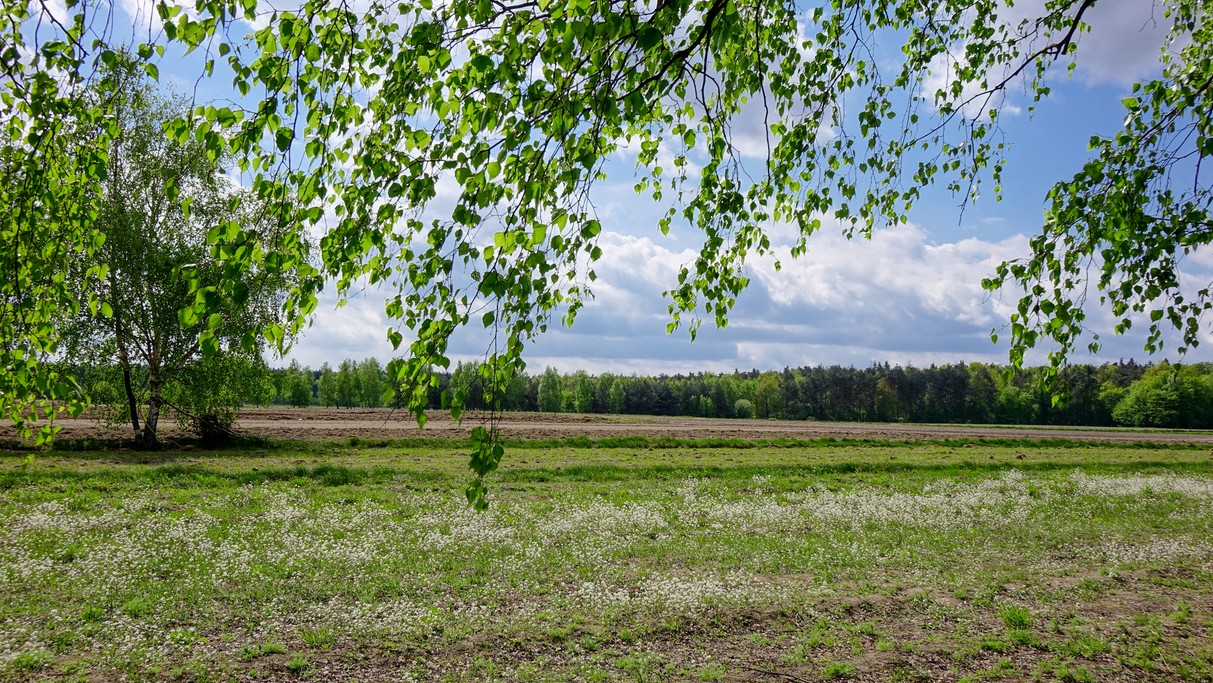 Kwiecień w obiektywie - zdjęcie 30