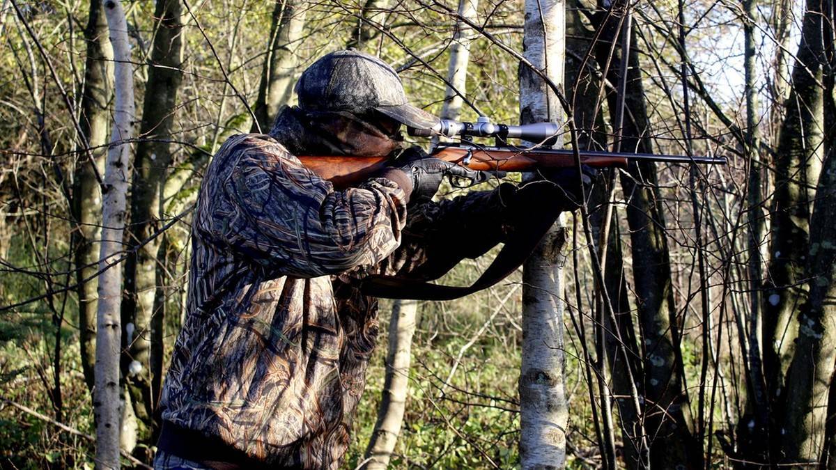 Myśliwy w kamuflażu celuje z karabinu z lunetą w lesie.