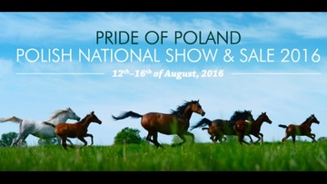 Niepewna przyszłość aukcji Pride of Poland. "Ja bym się bał"