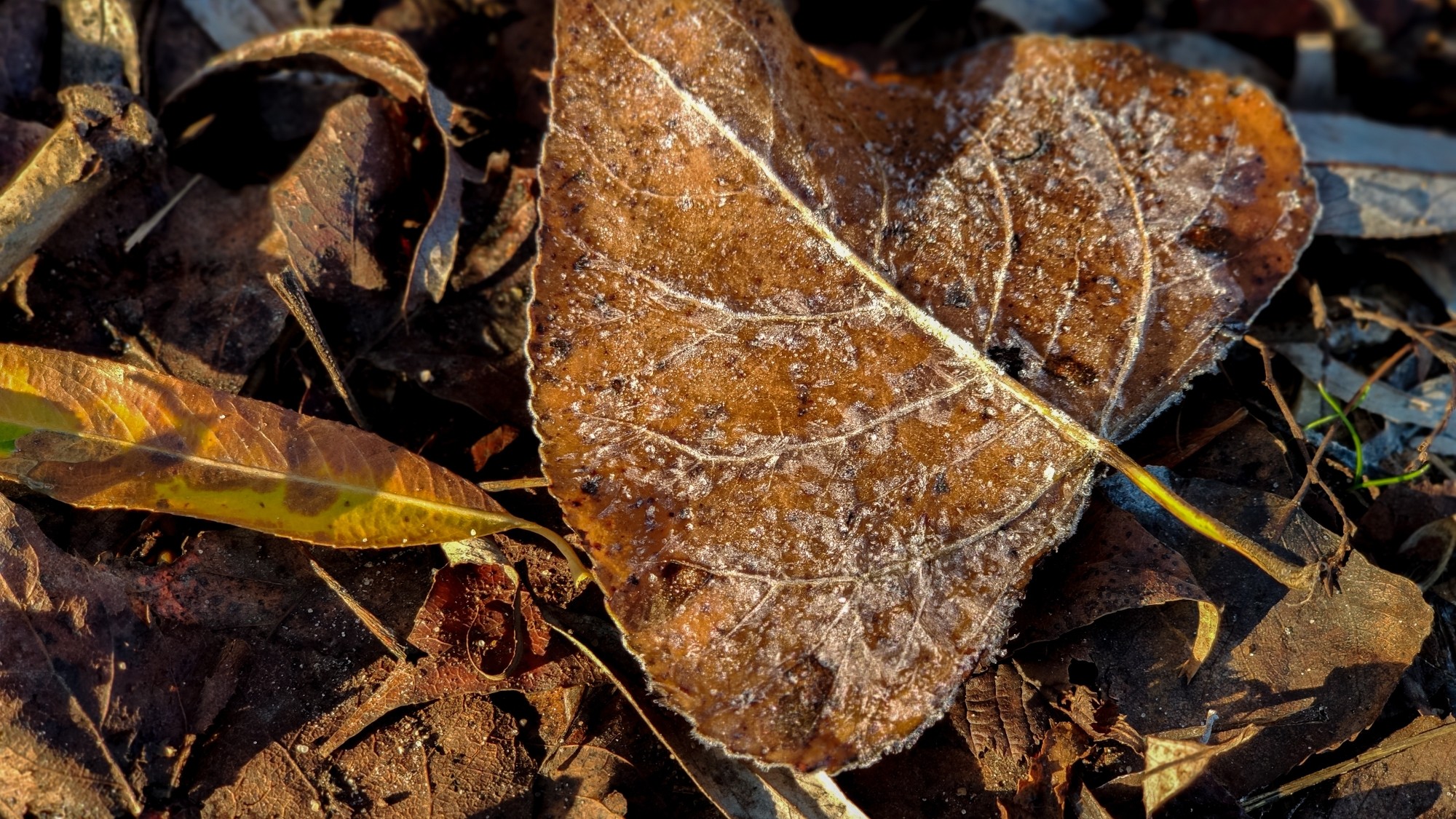 Listopad w obiektywie - zdjęcie 25