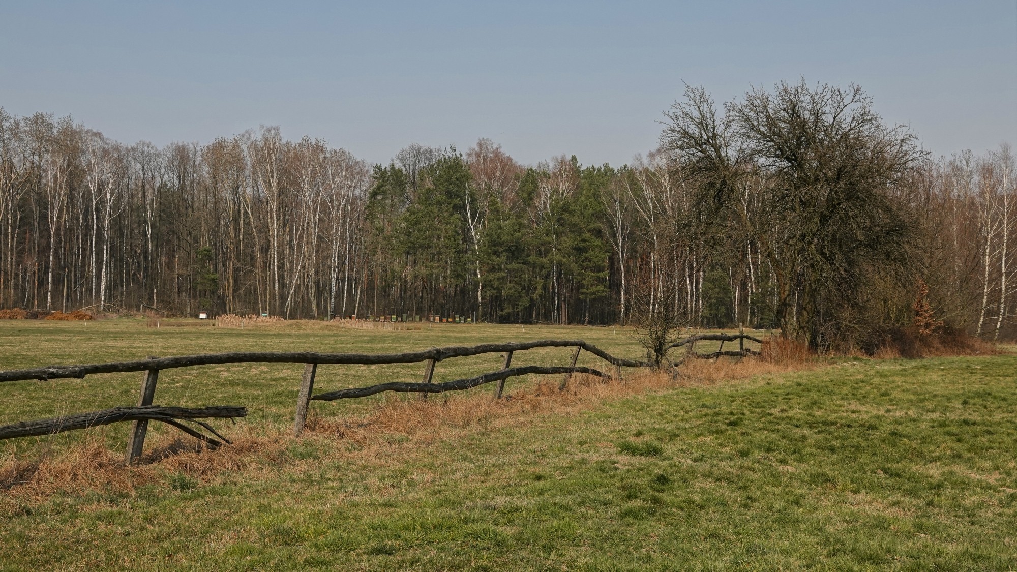 Marzec w obiektywie - zdjęcie 32