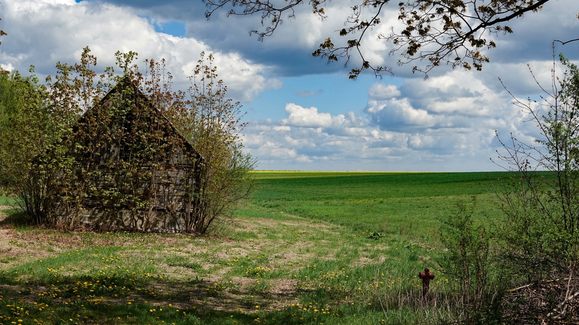 Kwiecień w obiektywie - zdjęcie 12