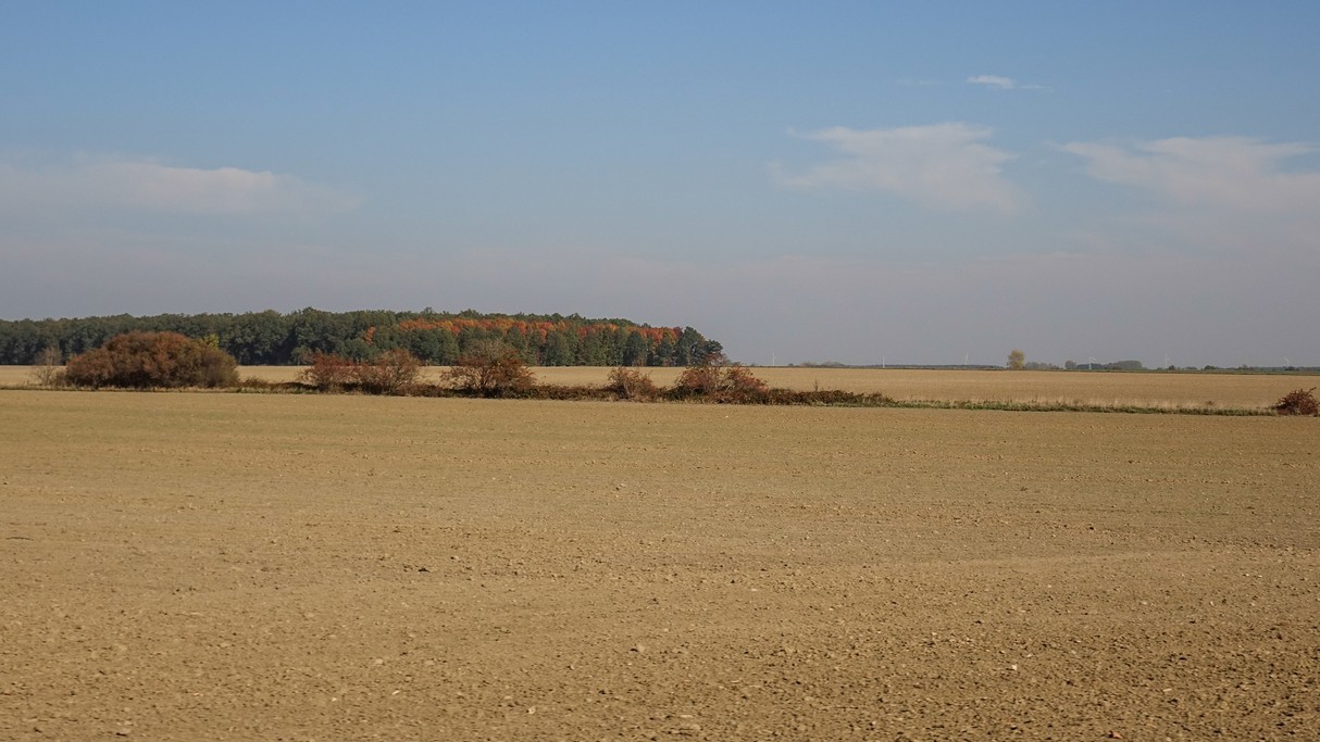 Podróż przez jesienną Polskę - zdjęcie 40