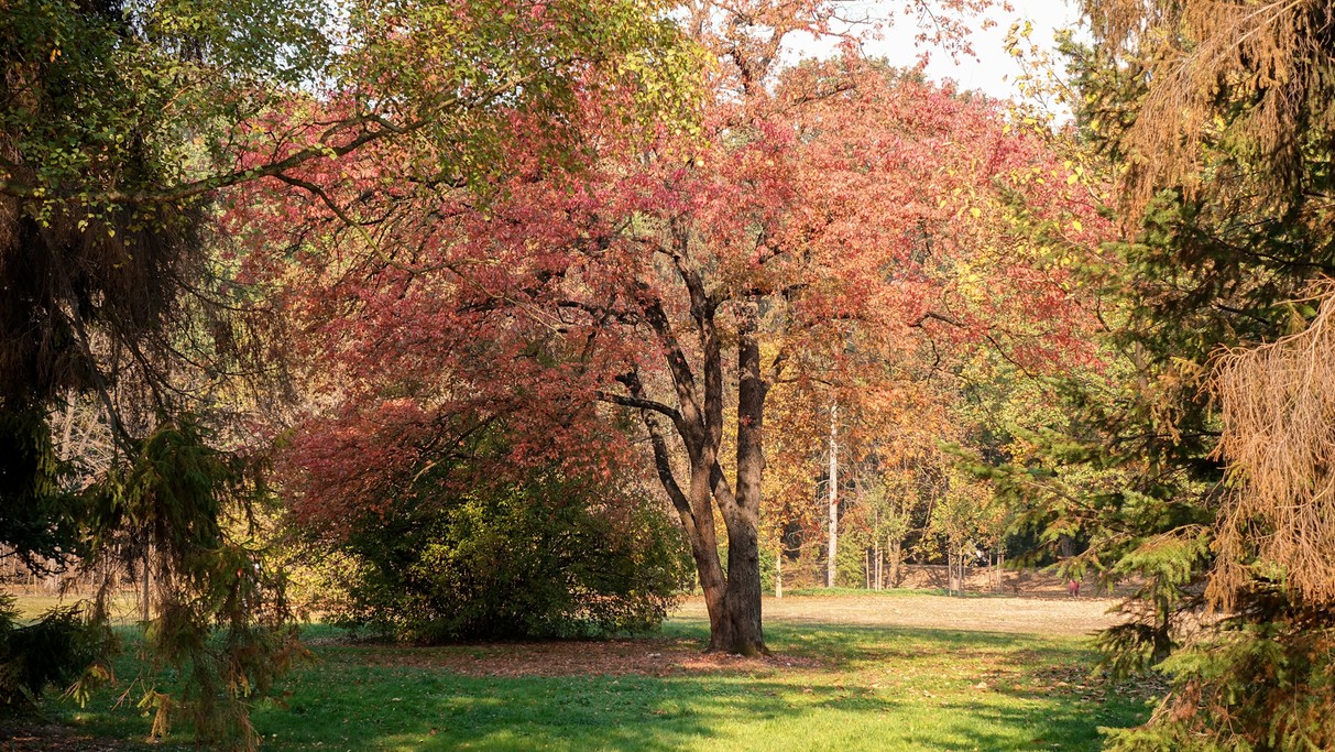 Jesienne klimaty - zdjęcie 17