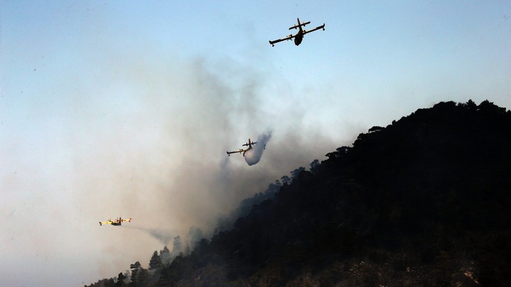 Czterodniowy pożar lasu na Cyprze. "Sytuacja opanowana"