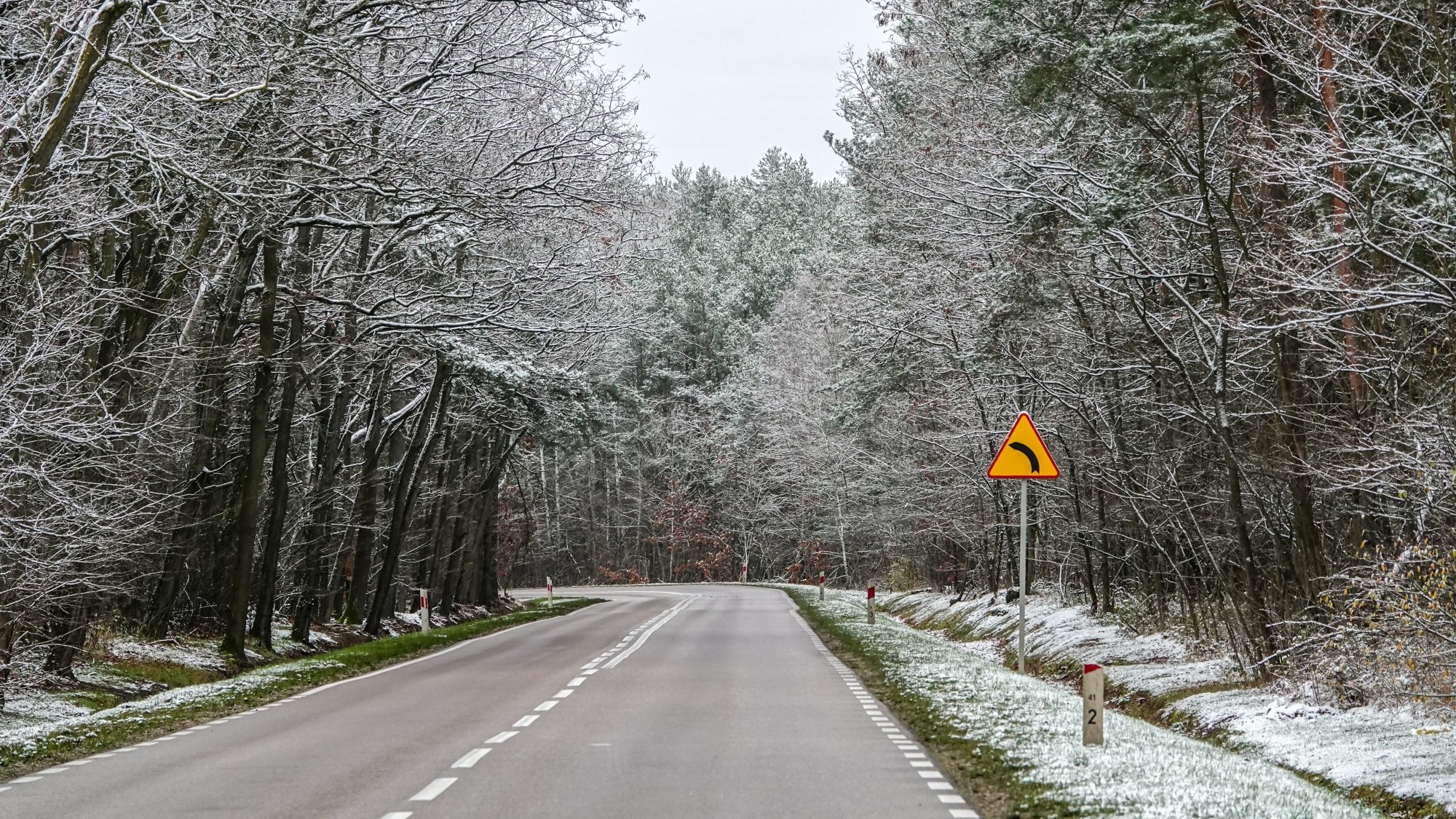 Pierwszy śnieg - zdjęcie 6