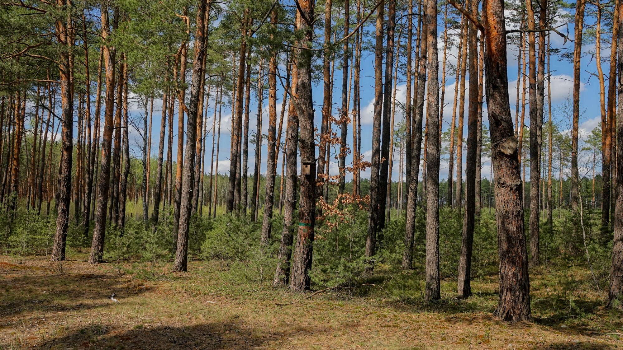 Kwiecień w obiektywie - zdjęcie 18