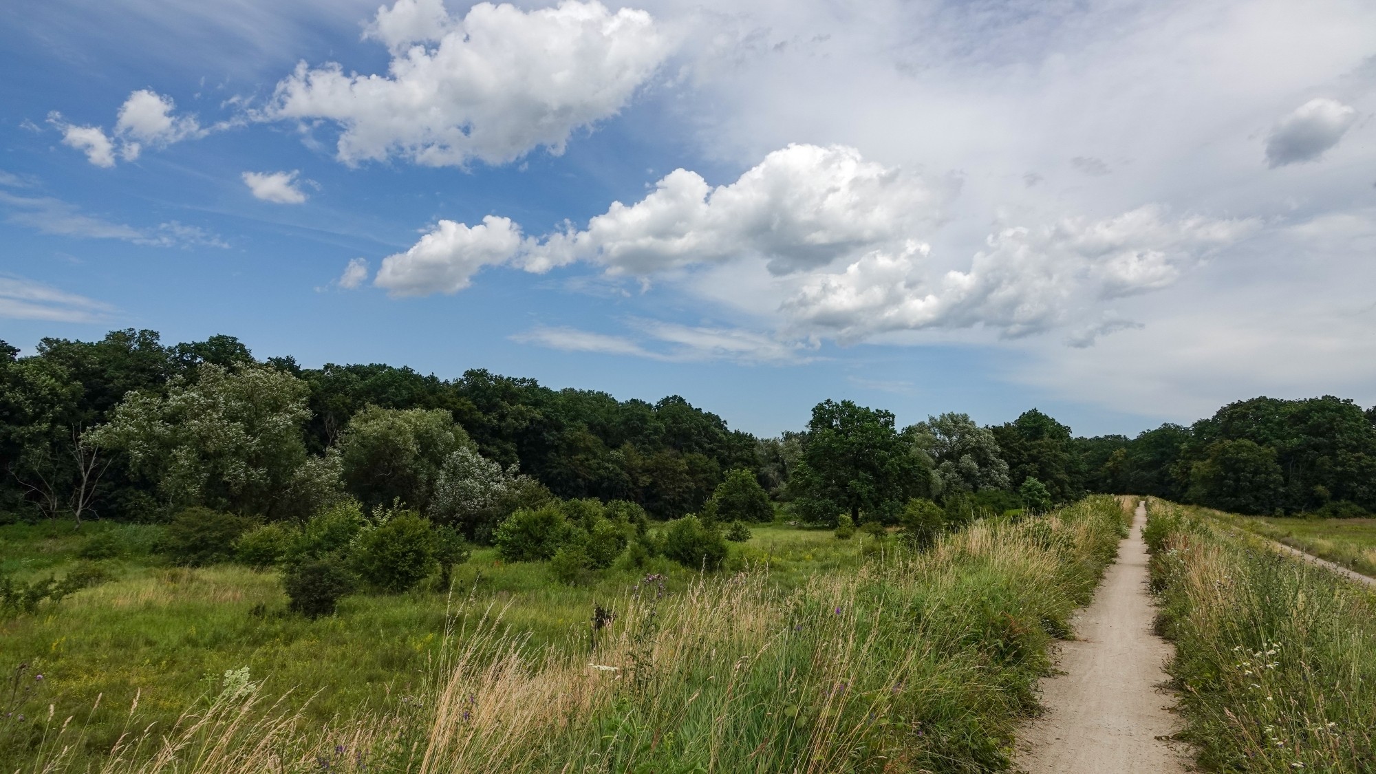 Środek lata w plenerze - zdjęcie 8