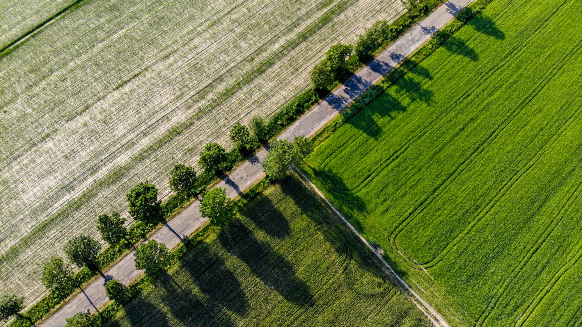 Niesamowita Polska z lotu ptaka - zdjęcie 33