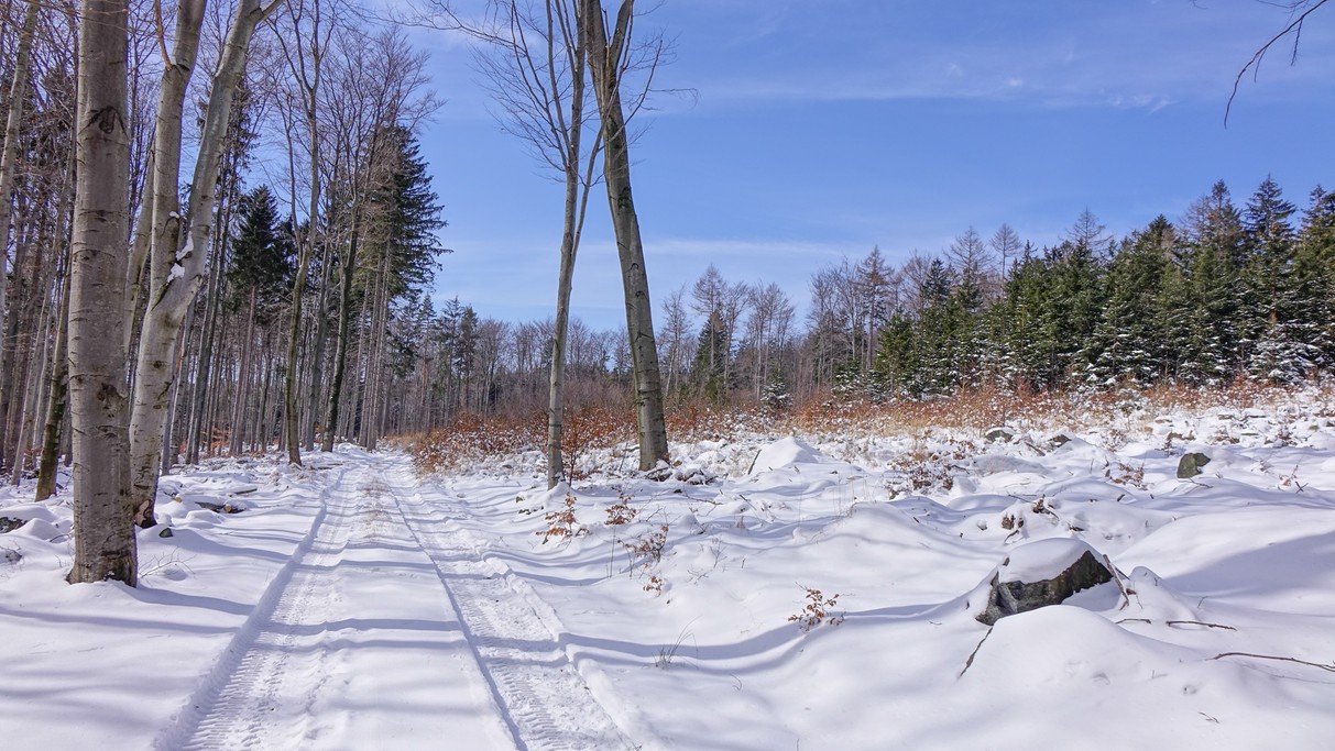 Marzec w obiektywie - zdjęcie 57