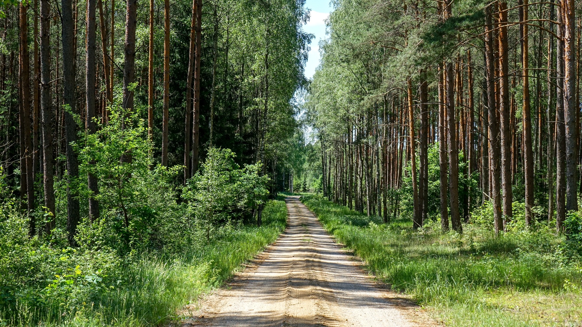 Czerwiec w obiektywie - zdjęcie 8
