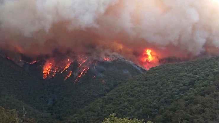 Ogień pochłania Australię. Zginęło już co najmniej 17 osób