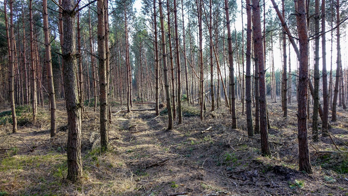 Marzec w obiektywie - zdjęcie 41