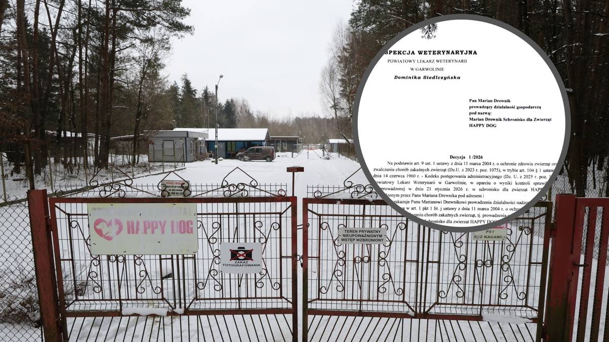 Zamknięcie schroniska w Sobolewie. Polsat News dotarł do dokumentu