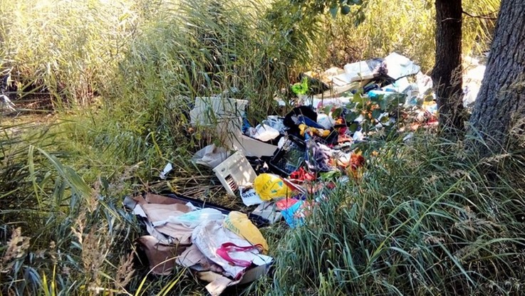 Zdjęcia hałd odpadów pojawiły się w internecie. Strażnicy miejscy namierzyli właściciela śmieci