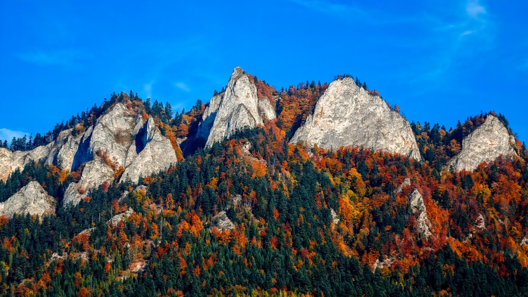 Polska jesienią - zdjęcie 29