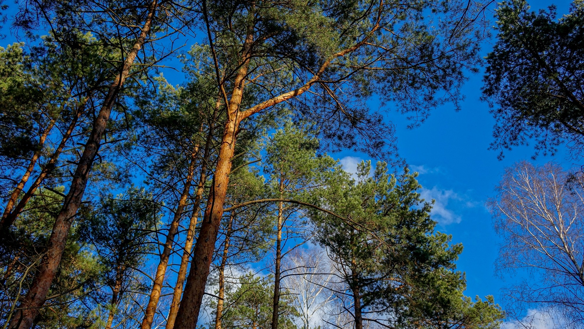 Listopad w obiektywie - zdjęcie 32