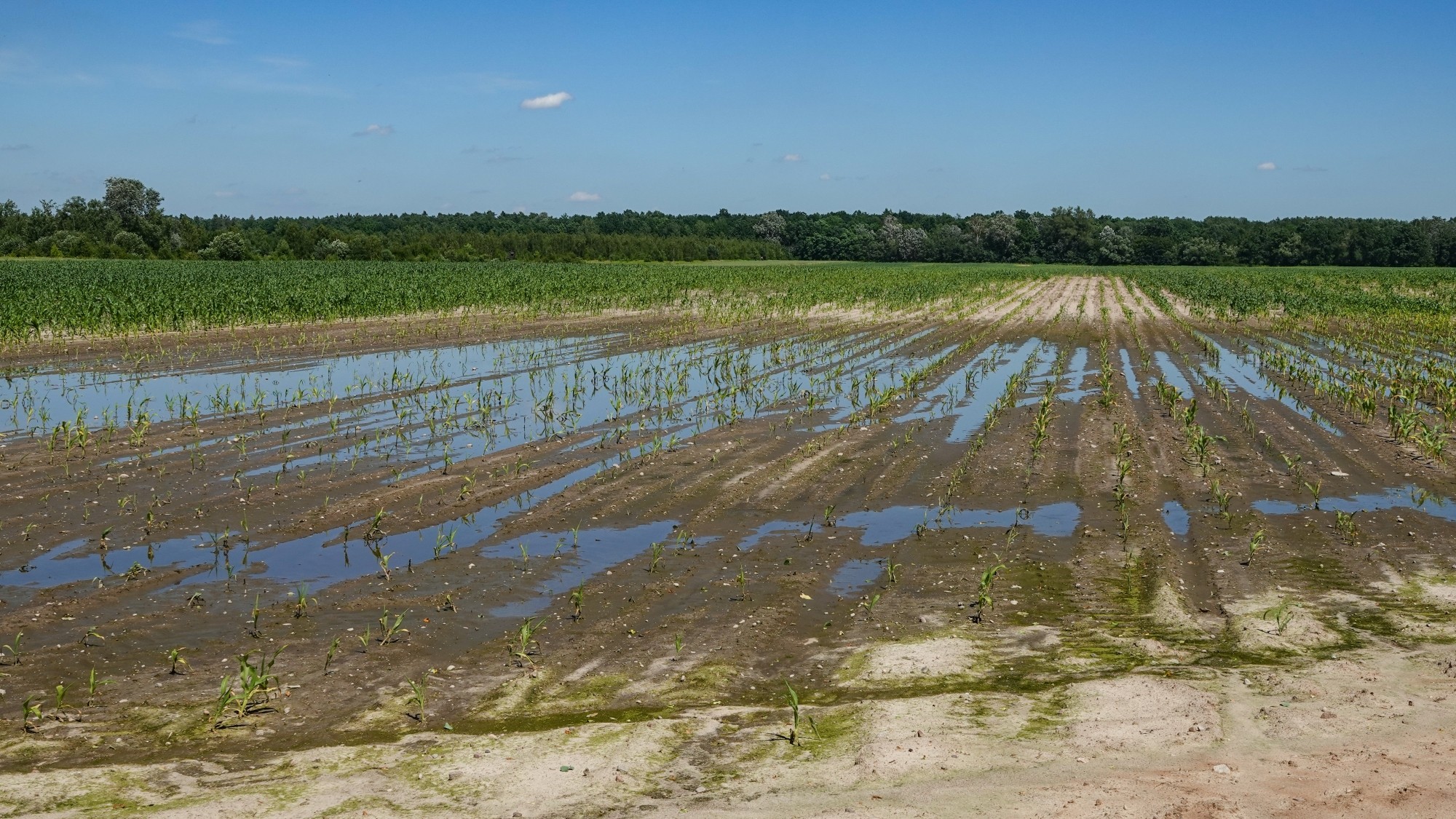 Letnie klimaty na łonie natury - zdjęcie 39