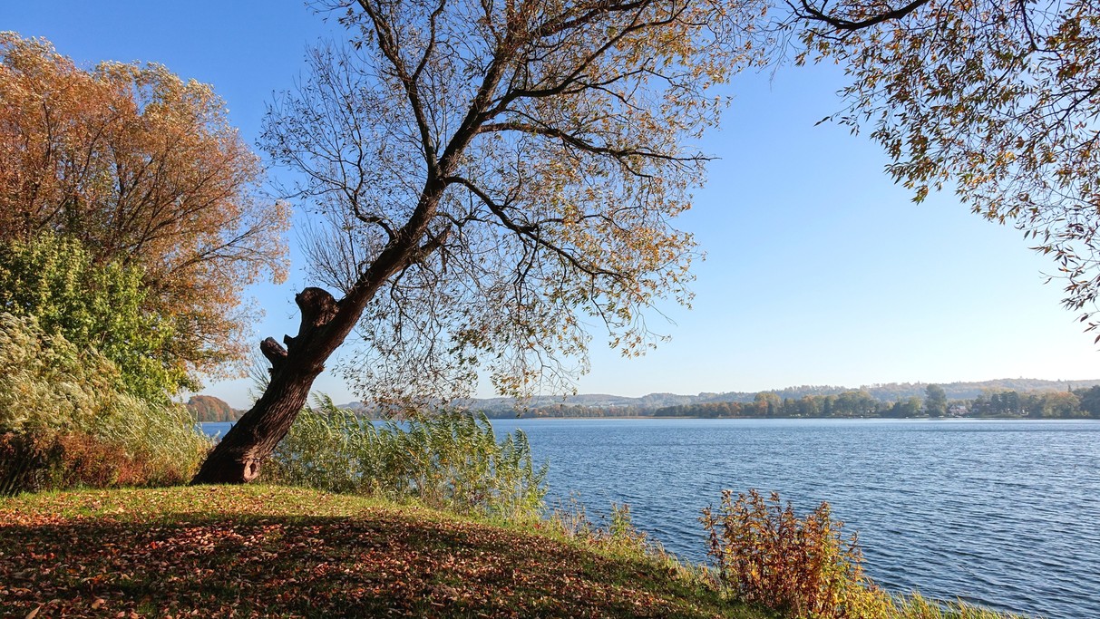 Polskie krajobrazy w 2018 roku - zdjęcie 80