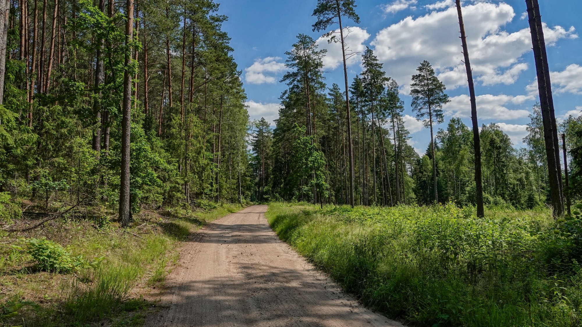Wakacje minionych lat - zdjęcie 49