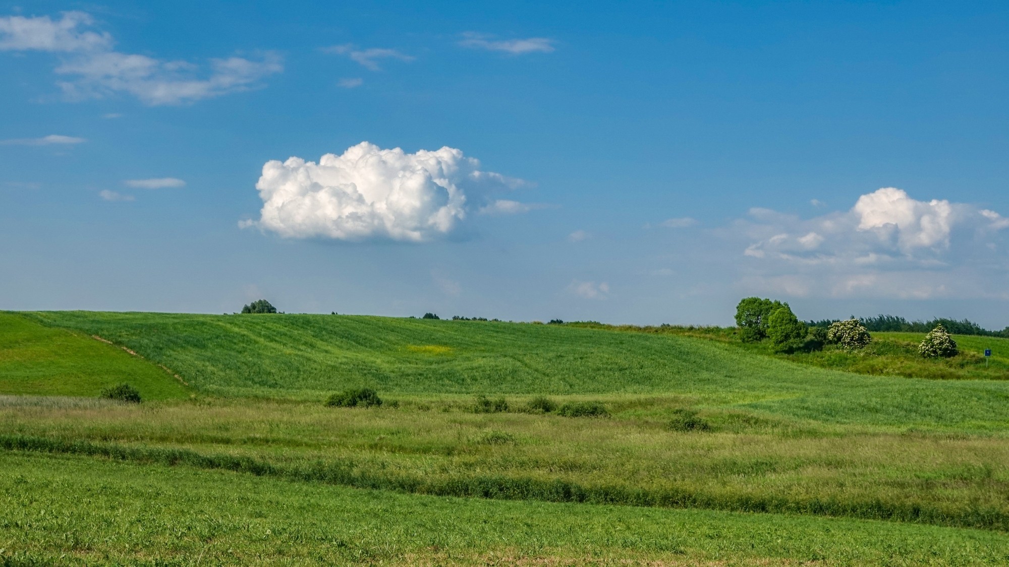 Środek lata w plenerze - zdjęcie 44