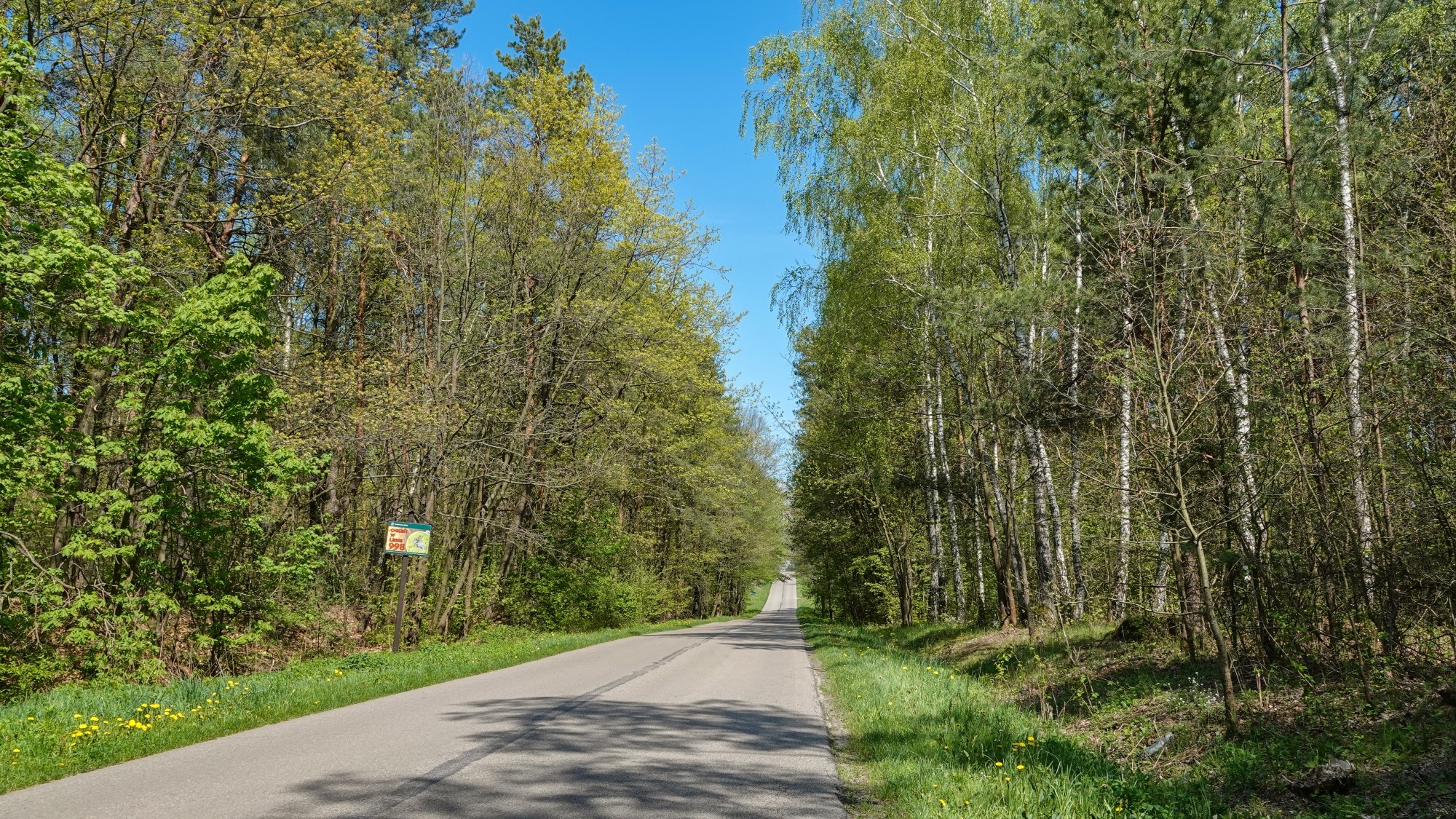 Całe piękno późnej wiosny - zdjęcie 31