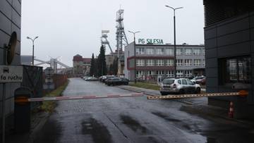 Widok na teren kopalni PG Silesia z budynkiem administracyjnym i wieżami szyb&oacute;w.