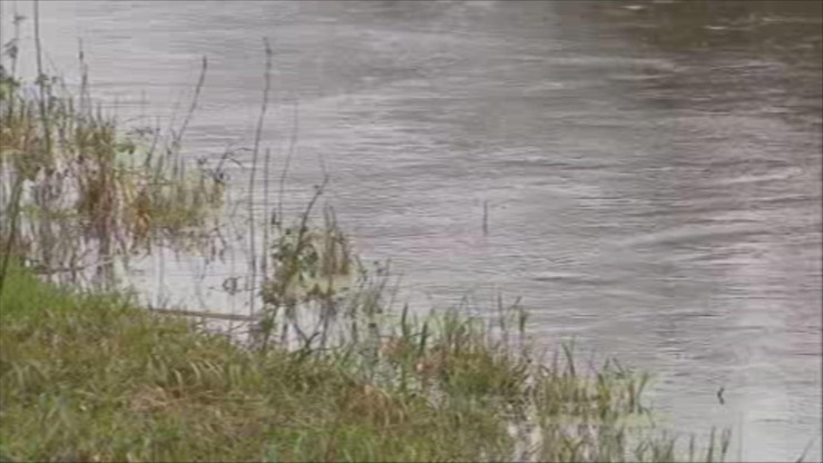 Rośnie poziom wody w Słupi. Władze Słupska ogłosiły alarm przeciwpowodziowy