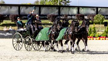 Exell, Chardon i Mazurek zwycięzcami Baborówko Driving Show