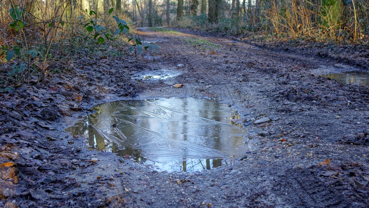 Styczeń w obiektywie - zdjęcie 43