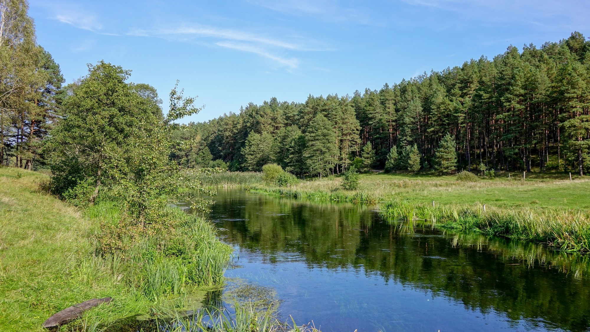 Wypoczynek nad wodą - zdjęcie 59
