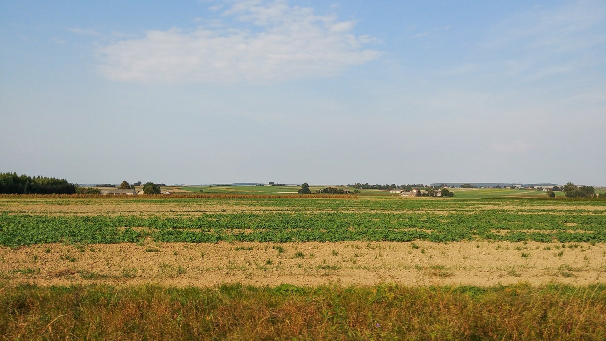 Uroki końca lata - zdjęcie 42