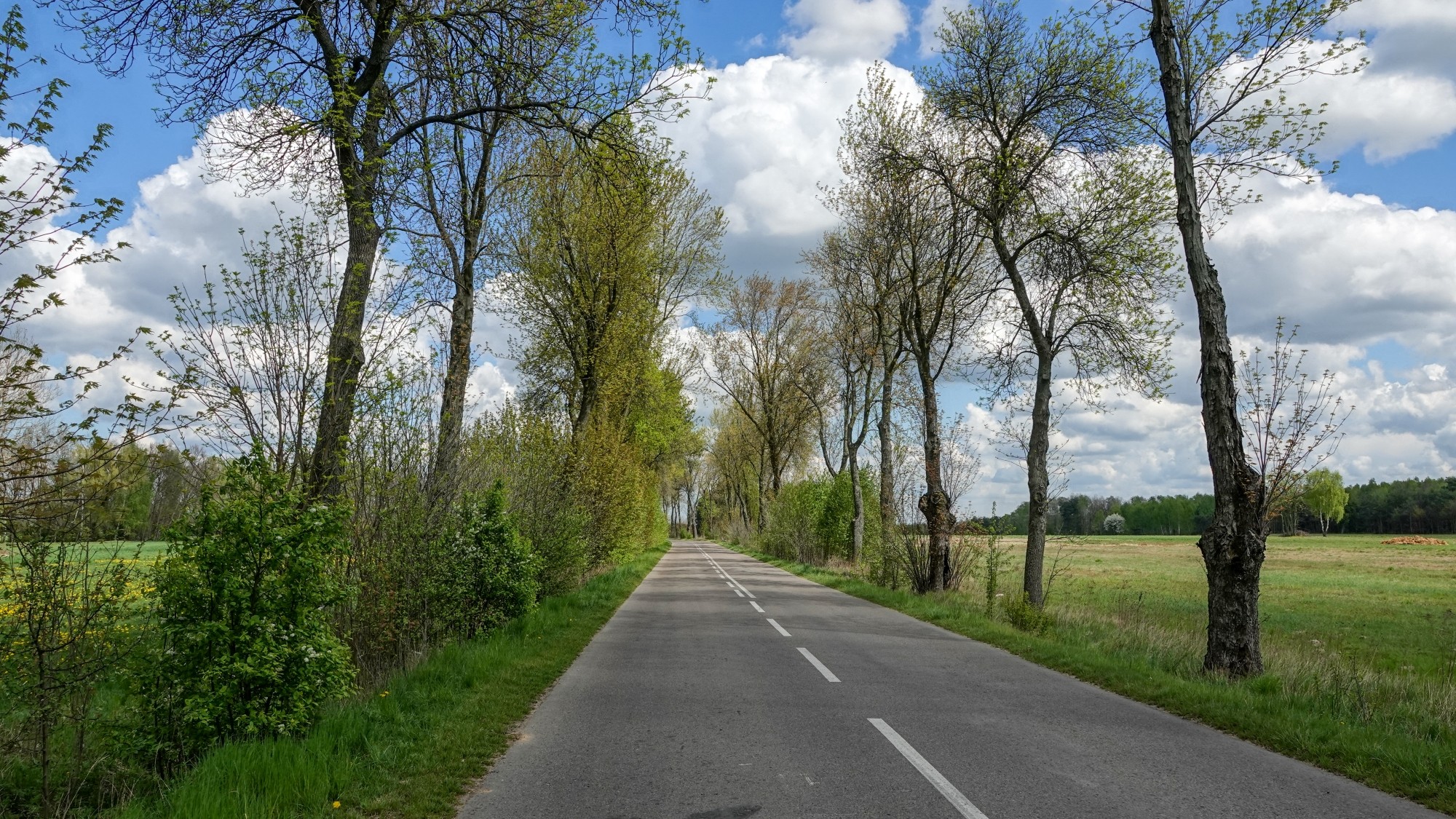 Kwiecień w obiektywie - zdjęcie 65