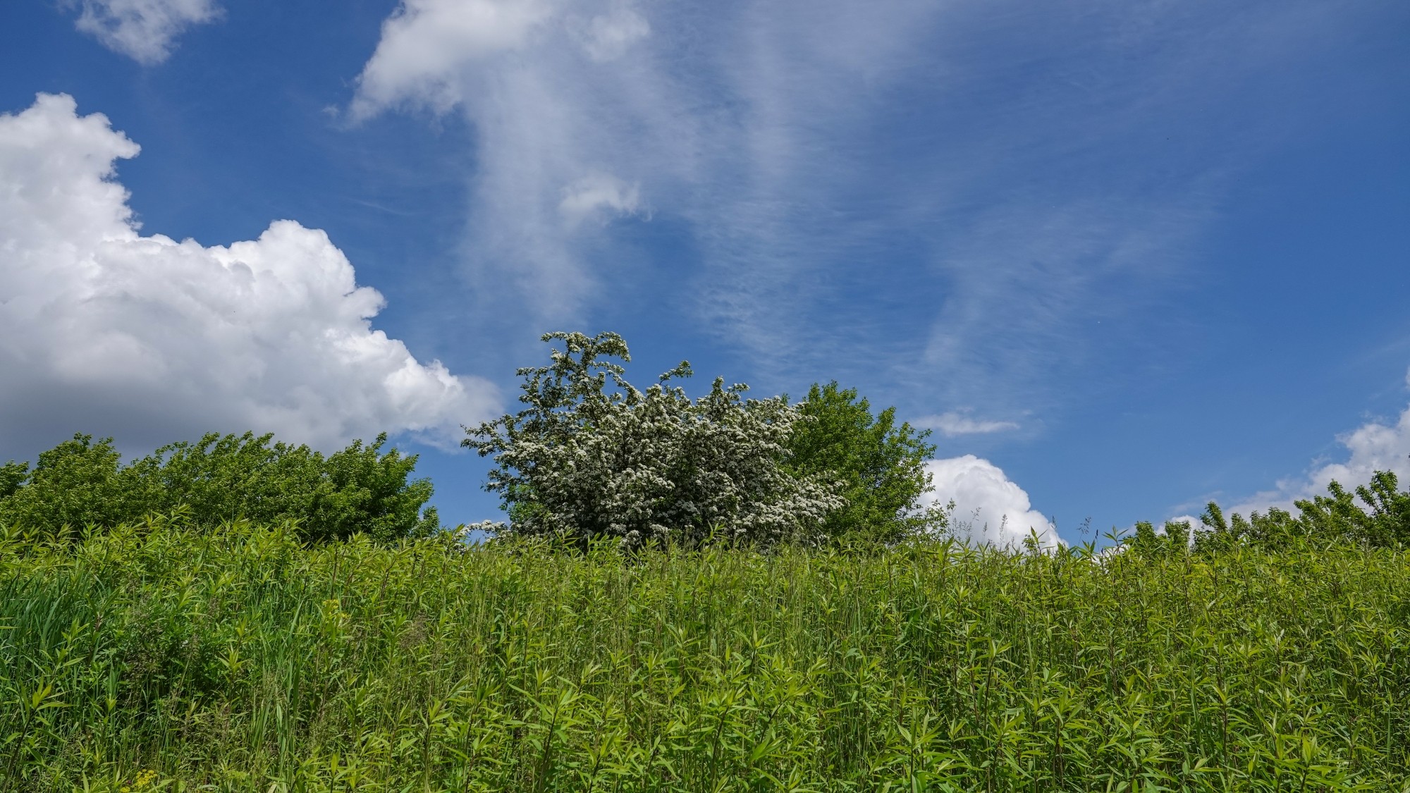 Lato w plenerze - zdjęcie 54