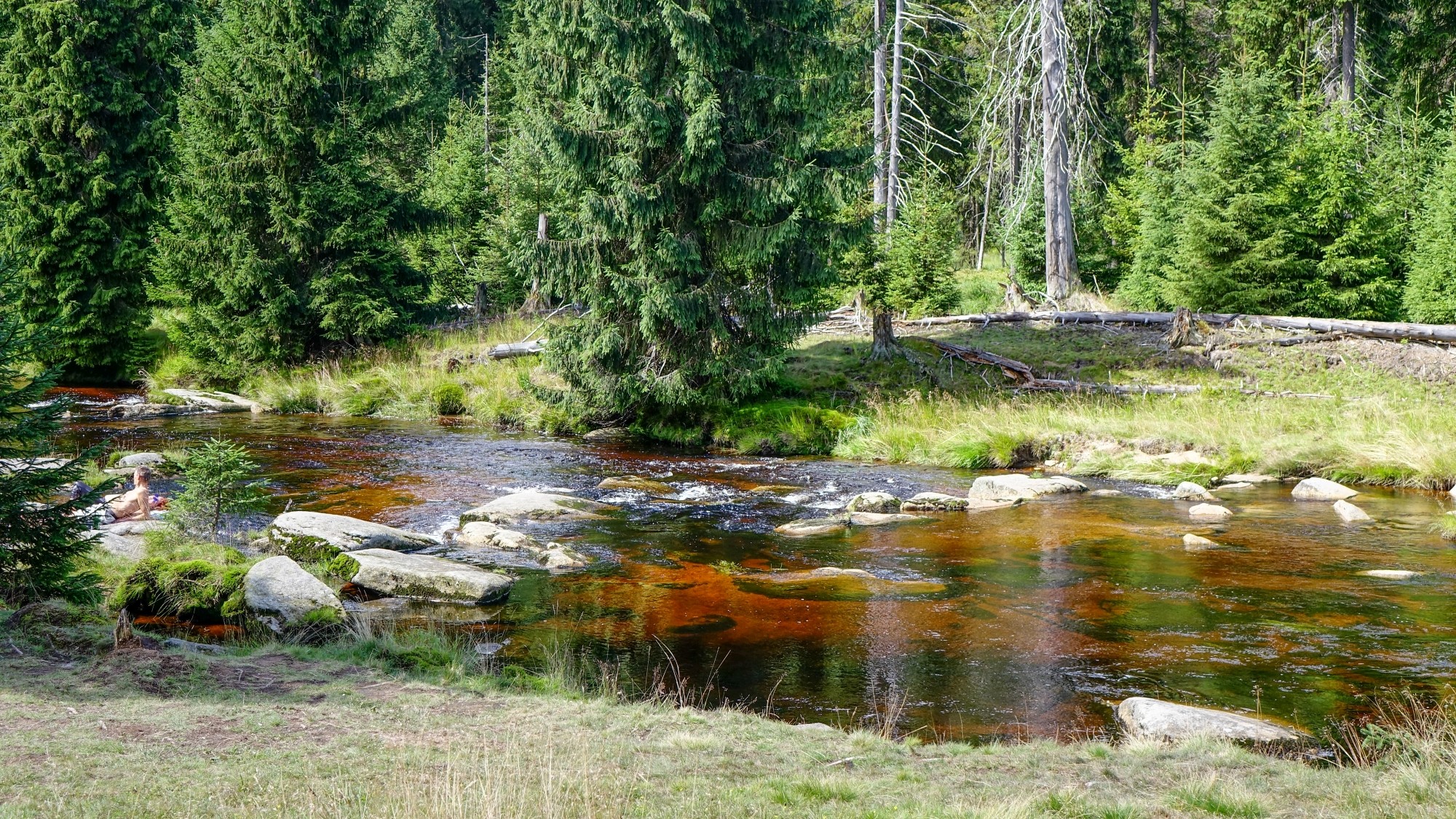 Urocze zakątki w lasach - zdjęcie 18
