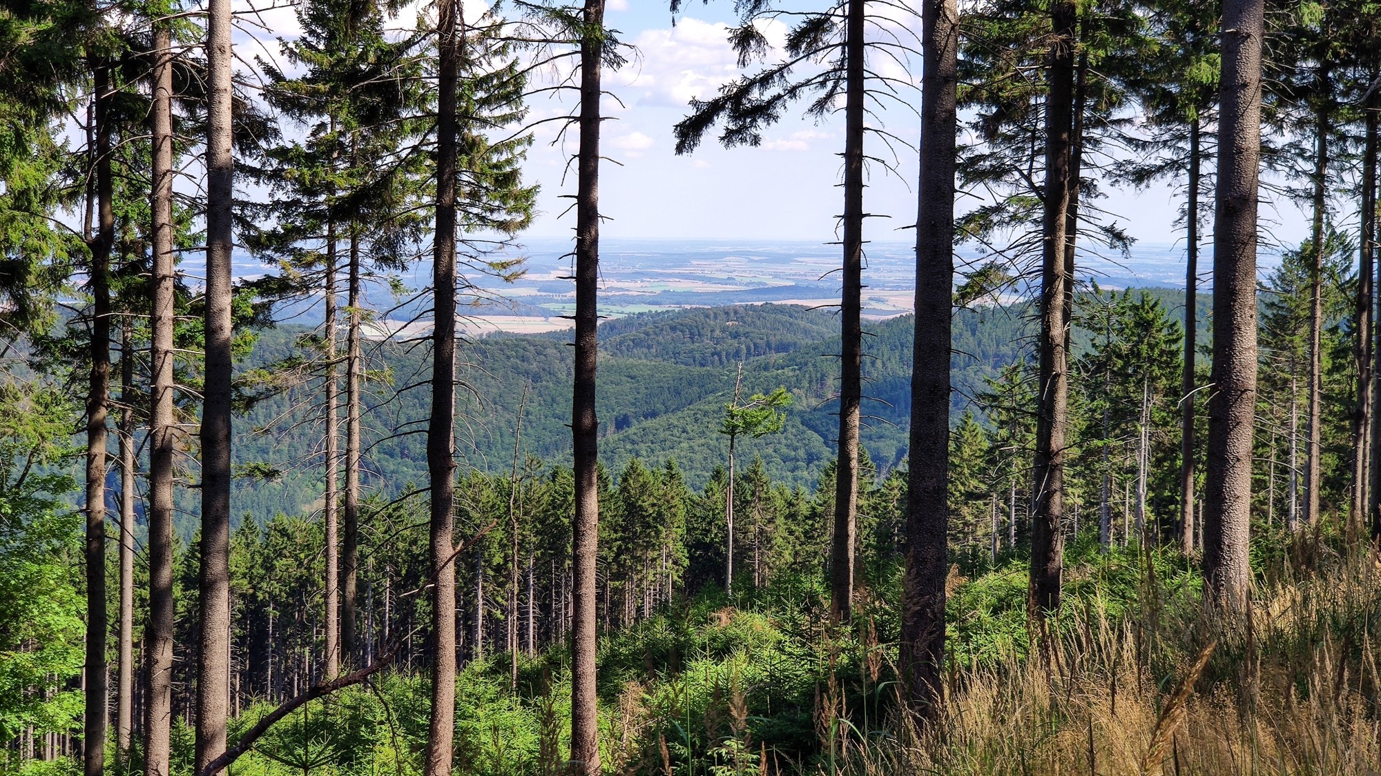 Wrzesień w obiektywie - zdjęcie 52