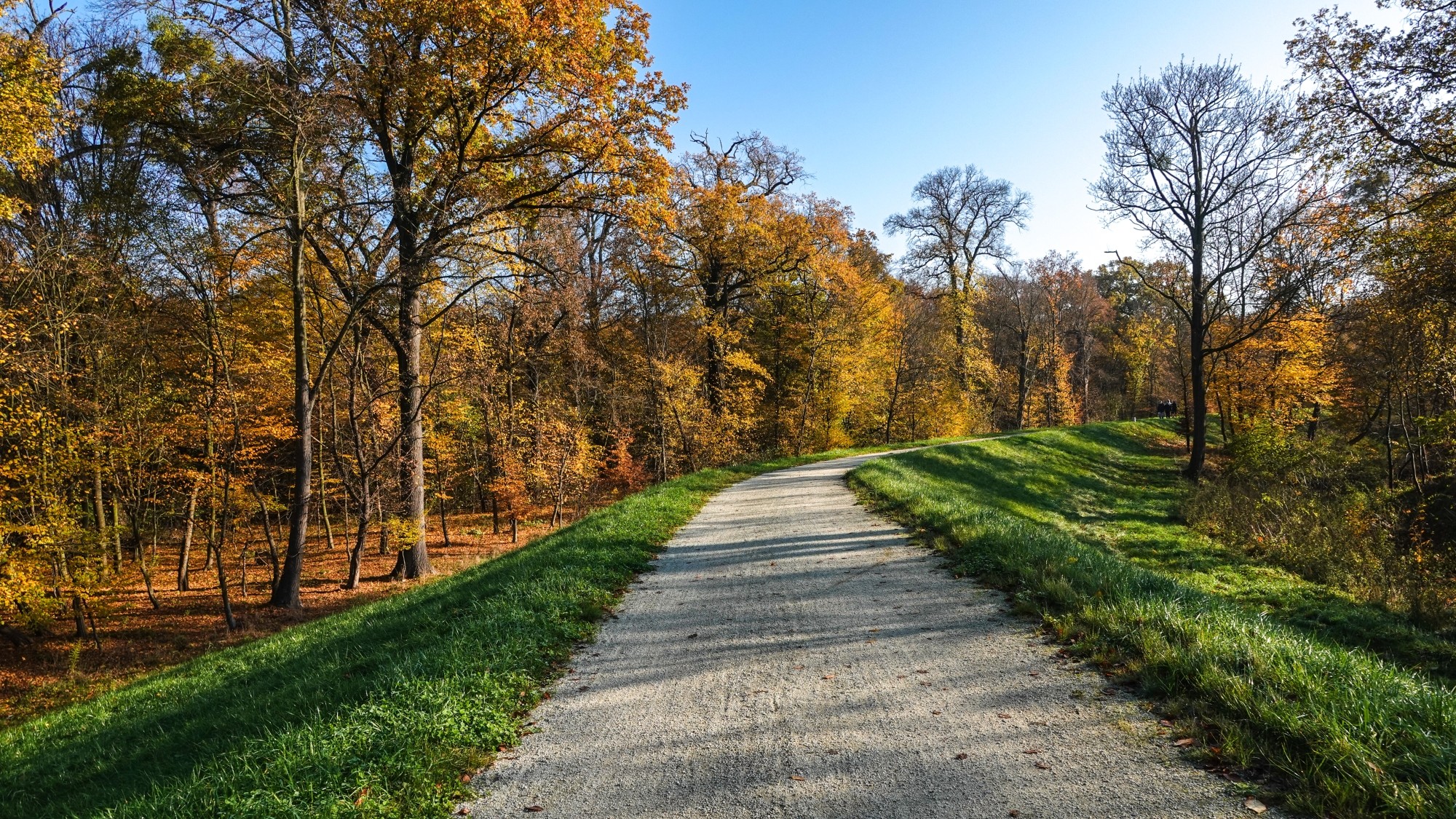 100 najpiękniejszych zdjęć 2020 roku - zdjęcie 94