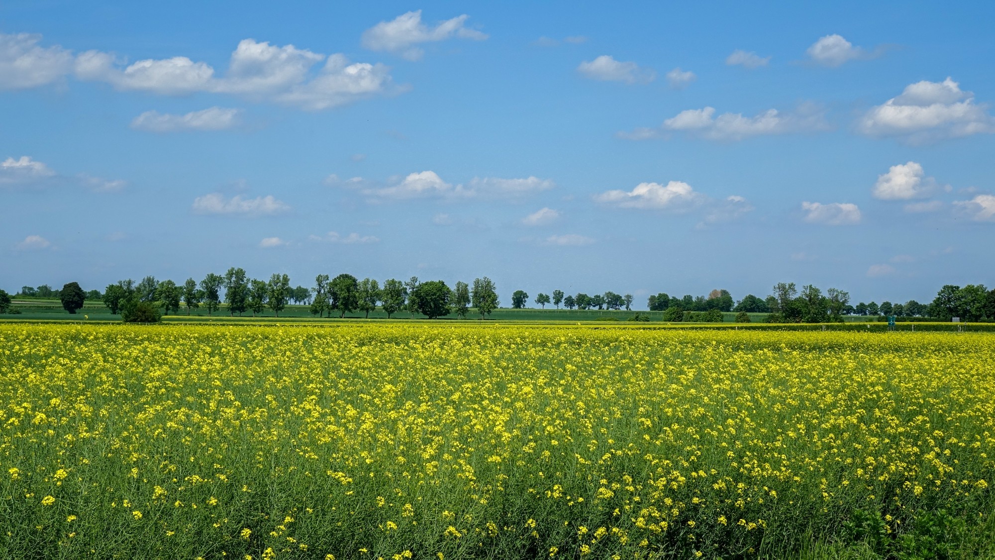 Maj w obiektywie - zdjęcie 20