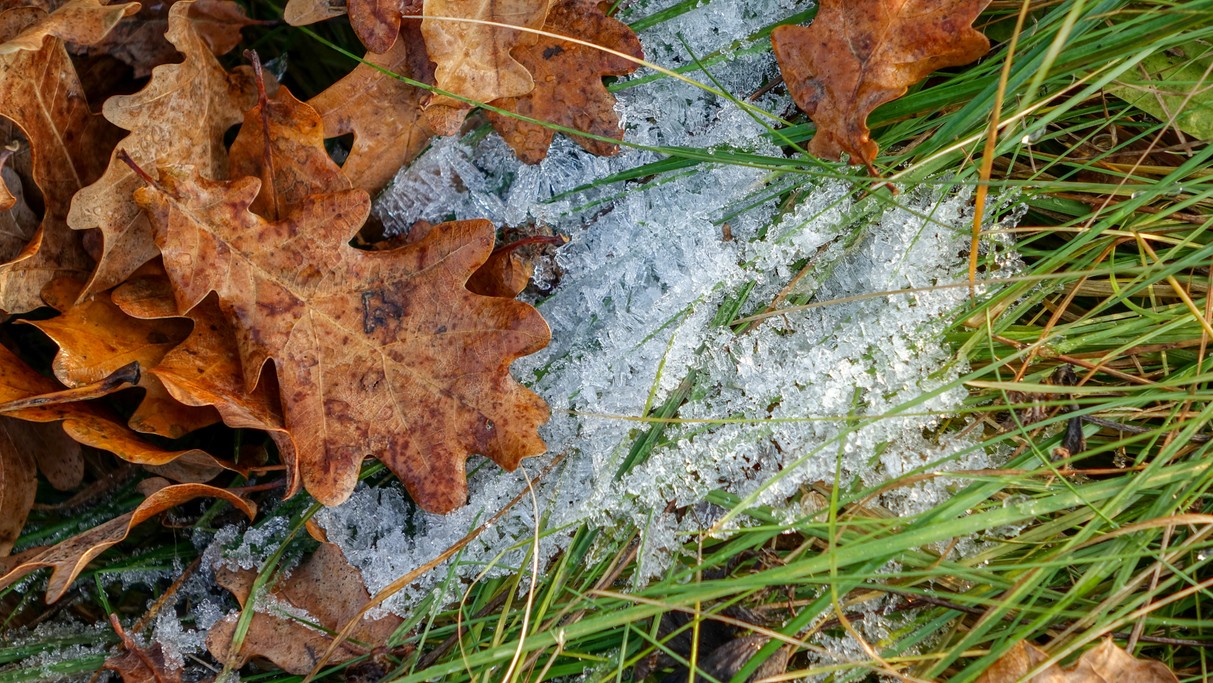 Styczeń w obiektywie - zdjęcie 10