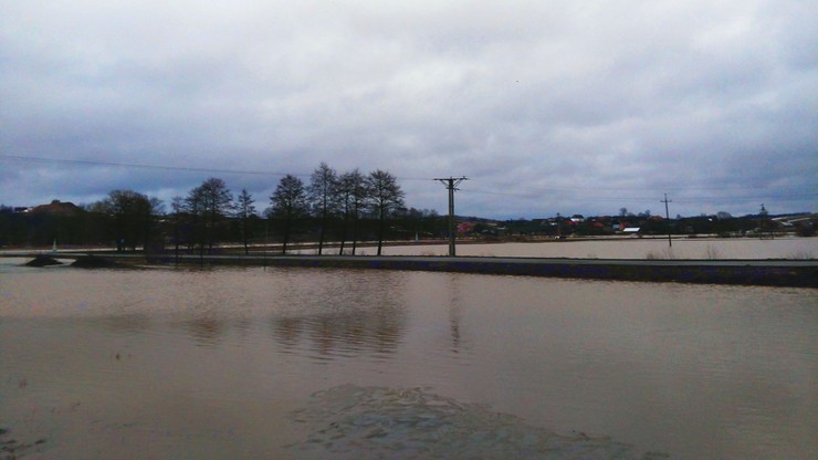 Powódź pod Lublinem. Woda na polach w Chrzanowie