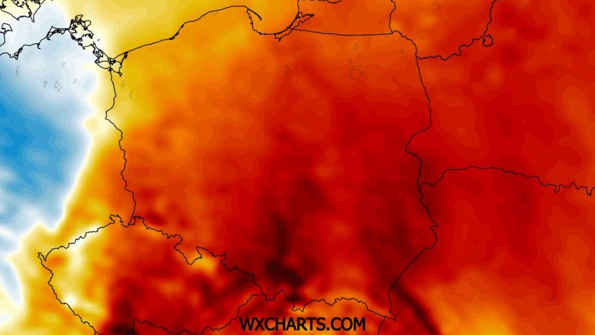 W środę pojawi się wyjątkowo silna dodatni anomalia temperatury, szczególne na południowym wschodzie - prognozuje IMGW