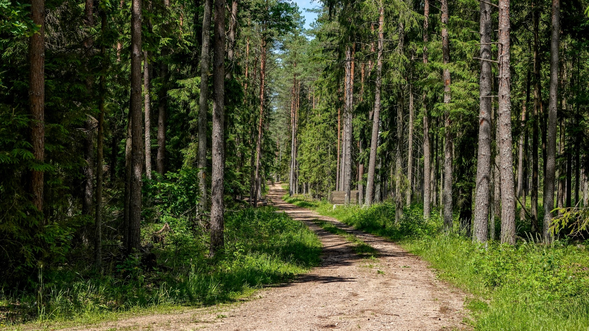 Letnie klimaty na łonie natury - zdjęcie 24