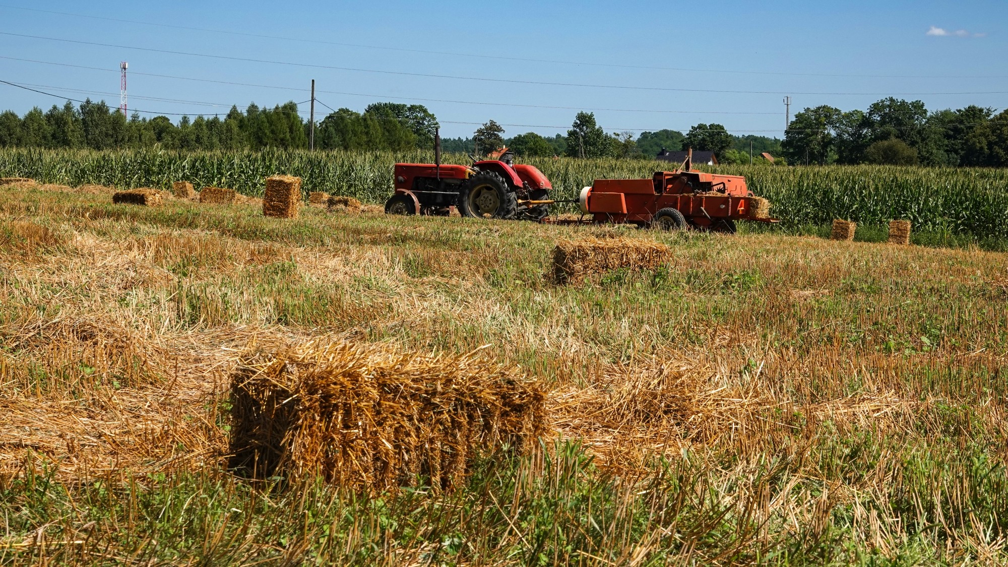 Na pożegnanie lata - zdjęcie 35