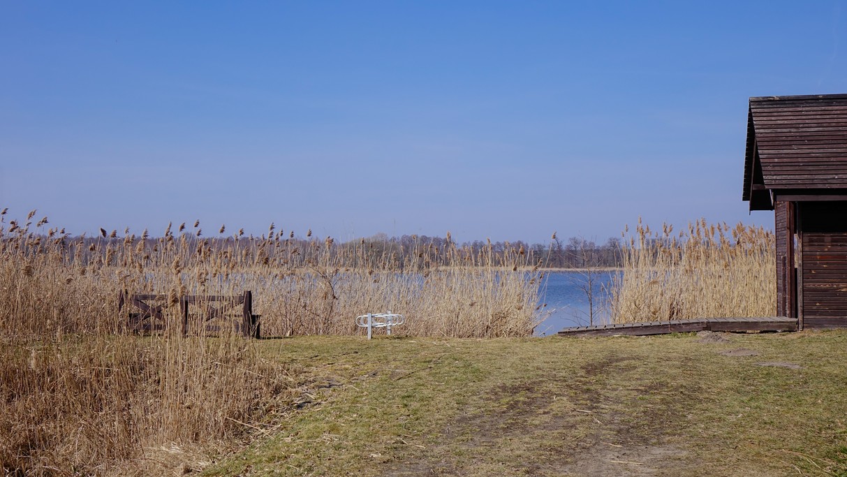 Marzec w obiektywie - zdjęcie 9