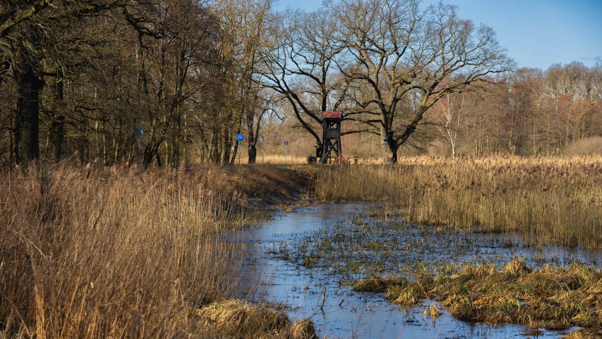 Wiosna coraz bliżej - zdjęcie 28