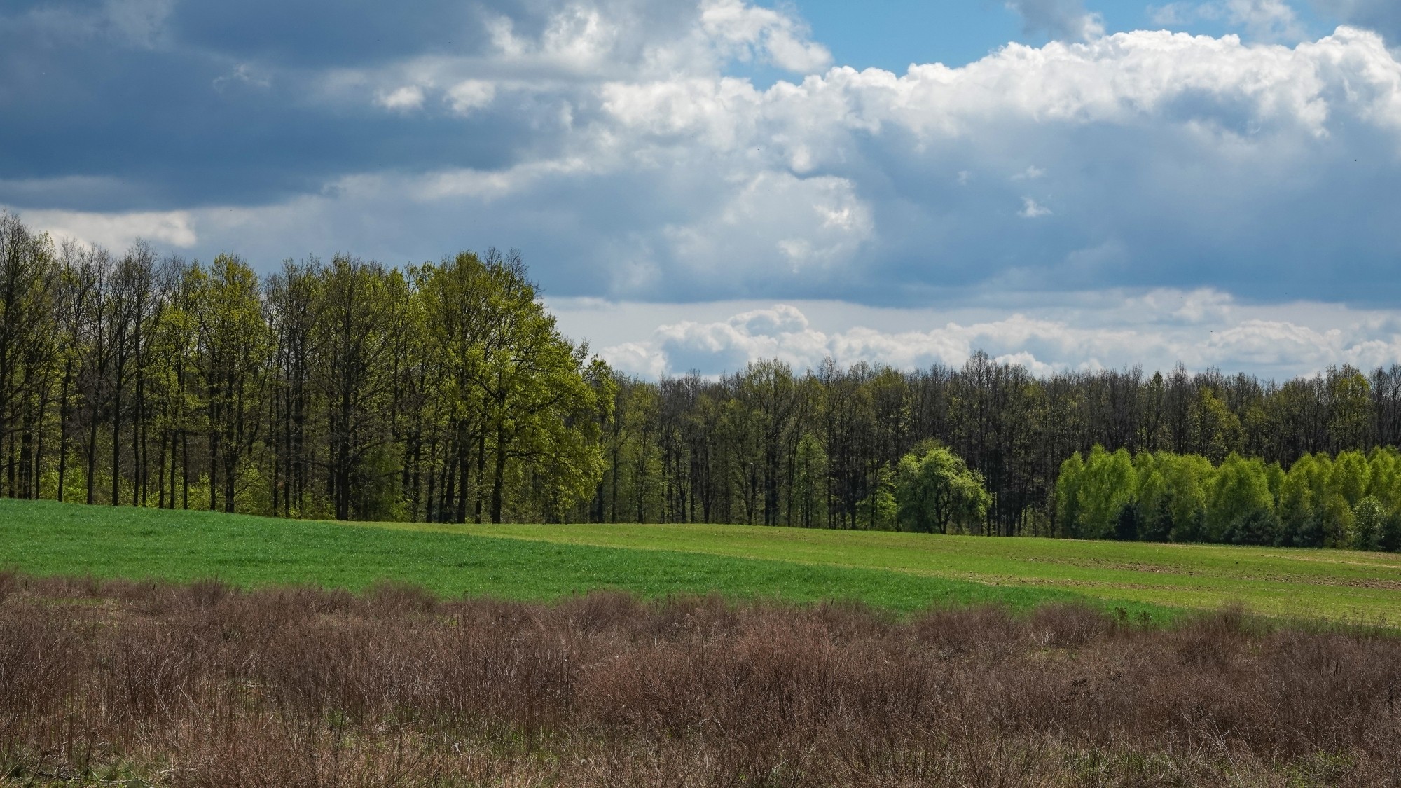 Kwiecień w obiektywie - zdjęcie 51