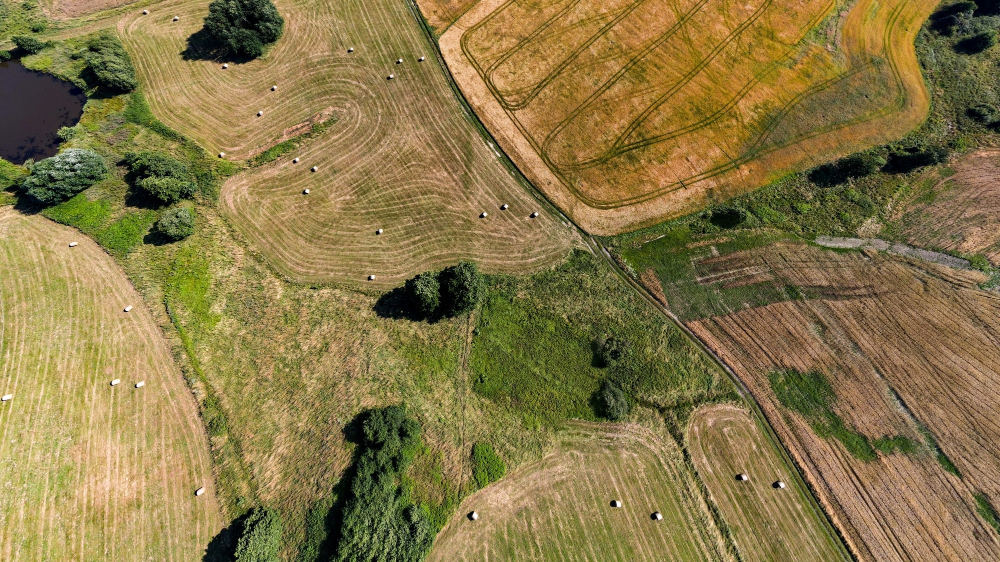 Cuda polskiej natury - zdjęcie 64