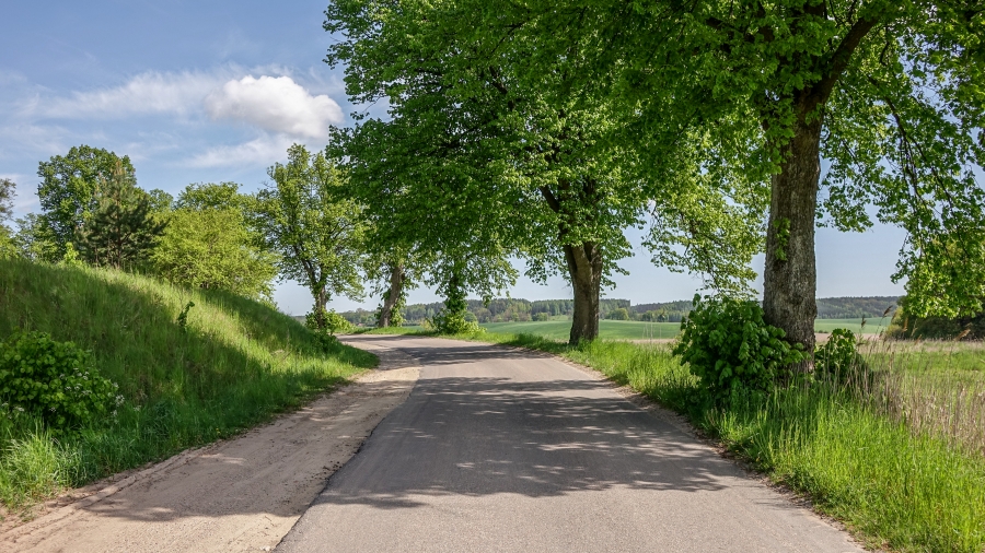 05.03.2019 12:00 Zobacz piękno polskich krajobrazów na zdjęciach. Lasy, pola, łąki, jeziora i góry, które zapierają dech