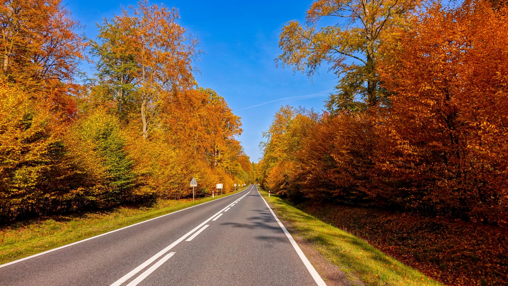 Kraina jesieni - zdjęcie 17